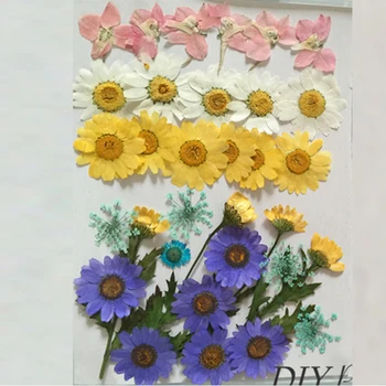 Rôzne Čipky Chryzantéma Larkspur Sušené kvety Opatrenia DIY Telefón Prípad zadarmo zásielky, 3 tašky