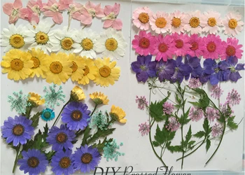 Rôzne Čipky Chryzantéma Larkspur Sušené kvety Opatrenia DIY Telefón Prípad zadarmo zásielky, 3 tašky