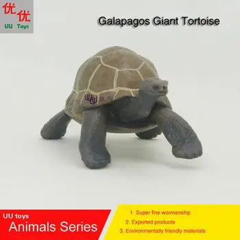 Horúce Hračka: Malé Galapágy Obrovská Korytnačka simulačný model Zvierat deti Korytnačka hračky pre deti, vzdelávacie rekvizity