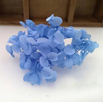 10 Boxov Skúmie Macrophylla Sušené kvety Výplň Pre Epoxidové Živice Prívesok Náhrdelník Šperky Robiť Plavidlá DIY Príslušenstvo