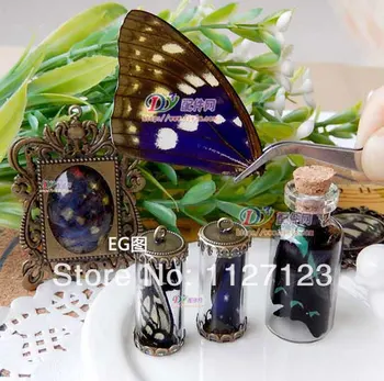 20pcs reálne motýlích krídel,3D Butterfly vzoriek krídla,Reálne Vysušené motýle, Mory, krídla pre krúžok/náhrdelník/zarámované motýle