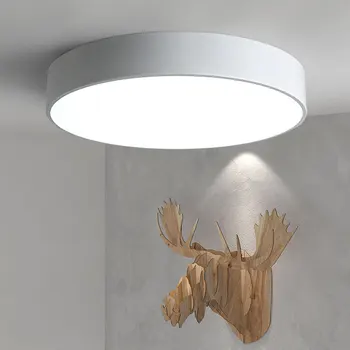 Jednoduché Umenie LED Stropné svietidlo pre obývacia izba, spálňa Plafon led domáce Osvetlenie stropné svietidlo domov osvetlenie svietidlá