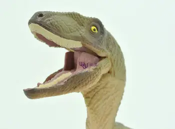 Horúce hračky obrázok hnedé Velocisaurus vysokej Simulačný model Jurský dinosaura hračky akcie obrázok Dar, hračky pre deti,