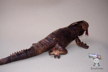 Simulácia Červená Iguana Roztomilé Bábiky Lizard Plyšové Hračky Plyšové Zvieratká Hračky Deti Prírodovedných Predmetov