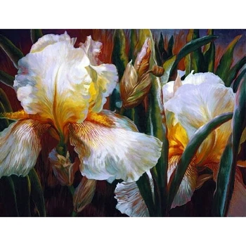 Zhui Star 5D DIY Plné Námestie vŕtačky diamantové Maľovanie Cross Stitch Biela iris kvet Drahokamu Výšivky Mozaiky domova darček